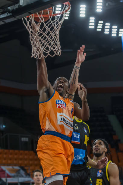 德约科维奇 德约科维奇